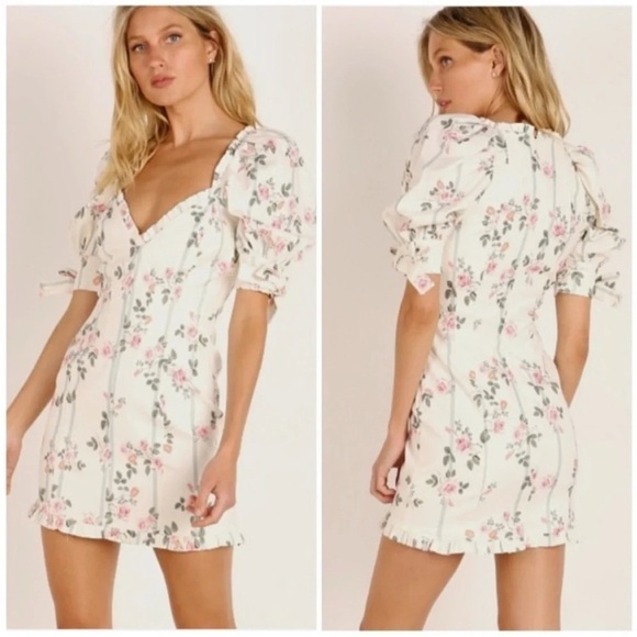 For Love & Lemons Rose Stripe Floral Linen Mini Dress - Picture 2 of 11